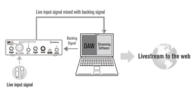 Steinberg UR12B avdio vmesnik