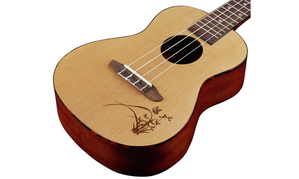 Ortega-RU5_concert-1