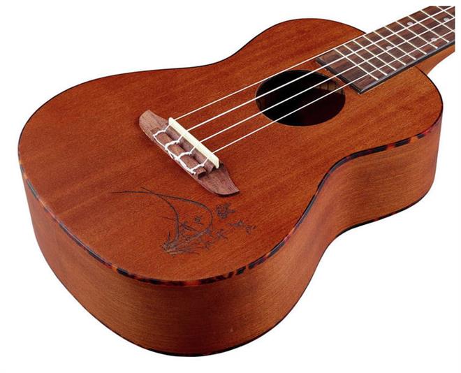 Ortega-RU5MM-concert-2