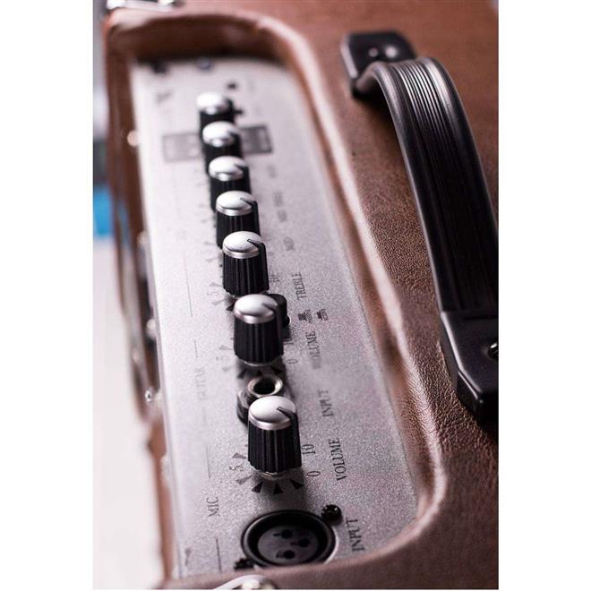 ZAR A-20R ojačevalec za akustično kitaro