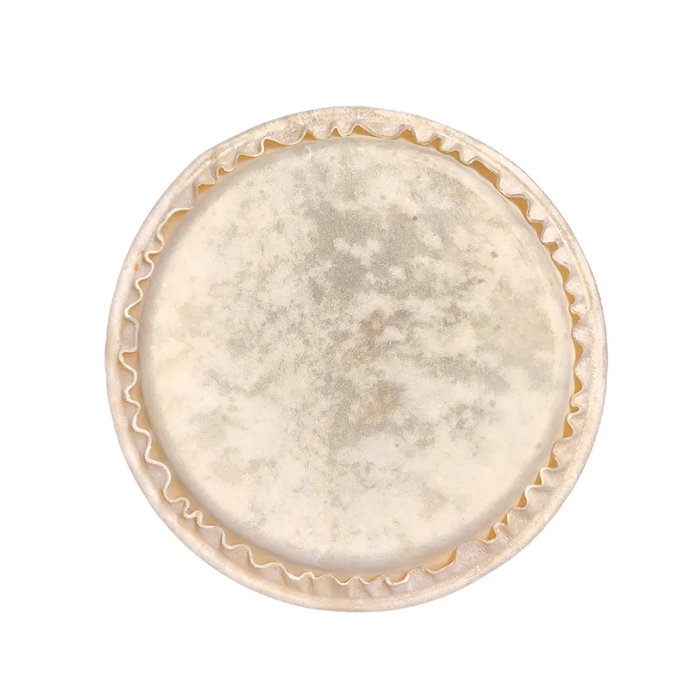 Club Salsa Traditional opna za bongo 6,5