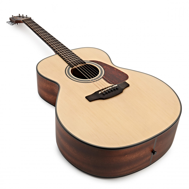 Takamine GN10-NS akustična kitara