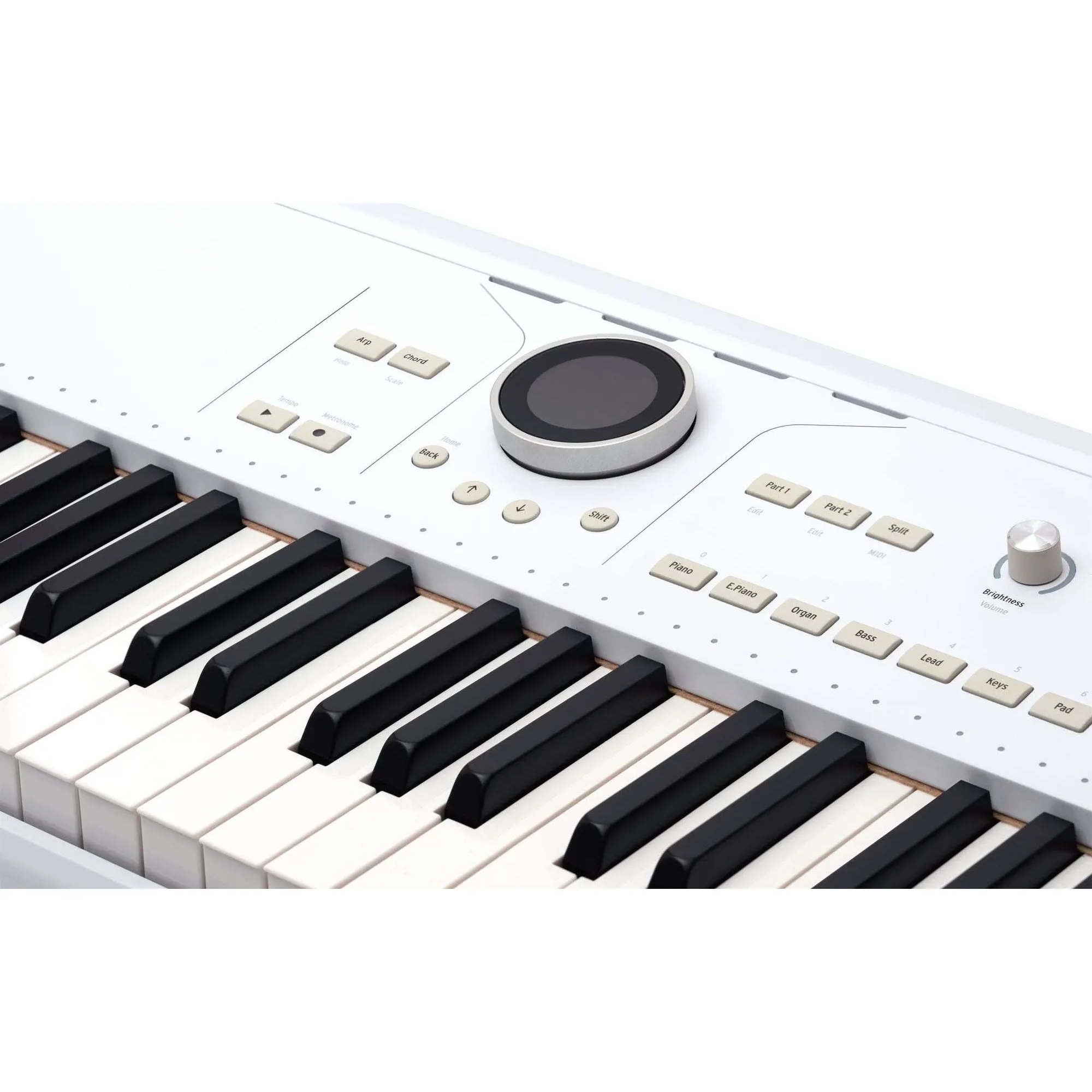 Arturia AstroLab stage keyboard
