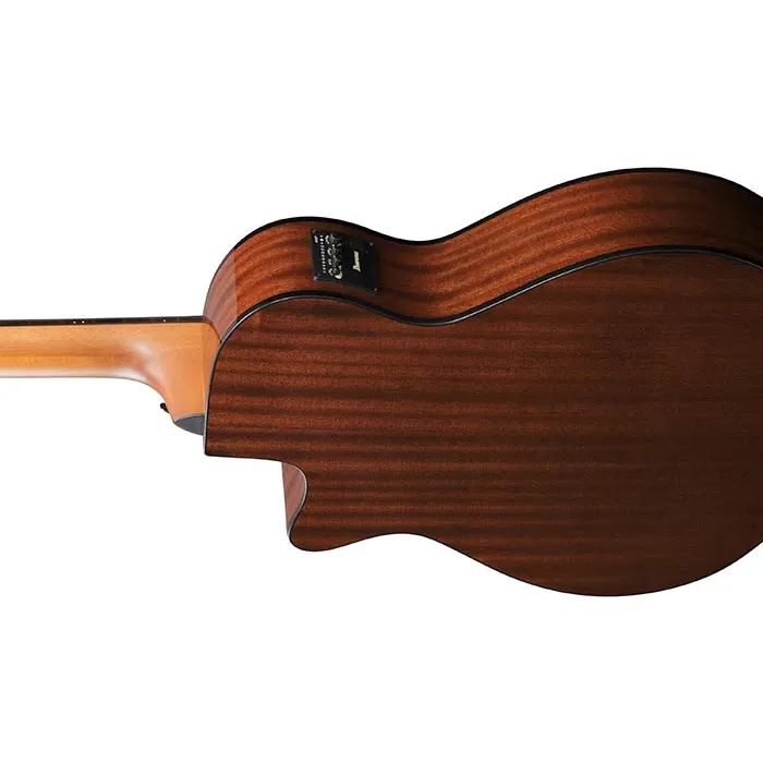 Ibanez AEGB25E-TKH elektro-akustična bas kitara