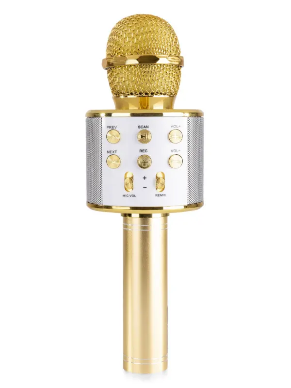 mikrofon-za-karaoke