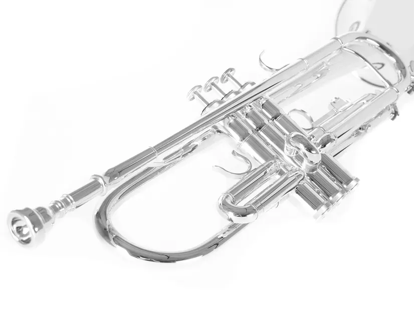 Roy Benson TR-202S Bb trobenta srebrna