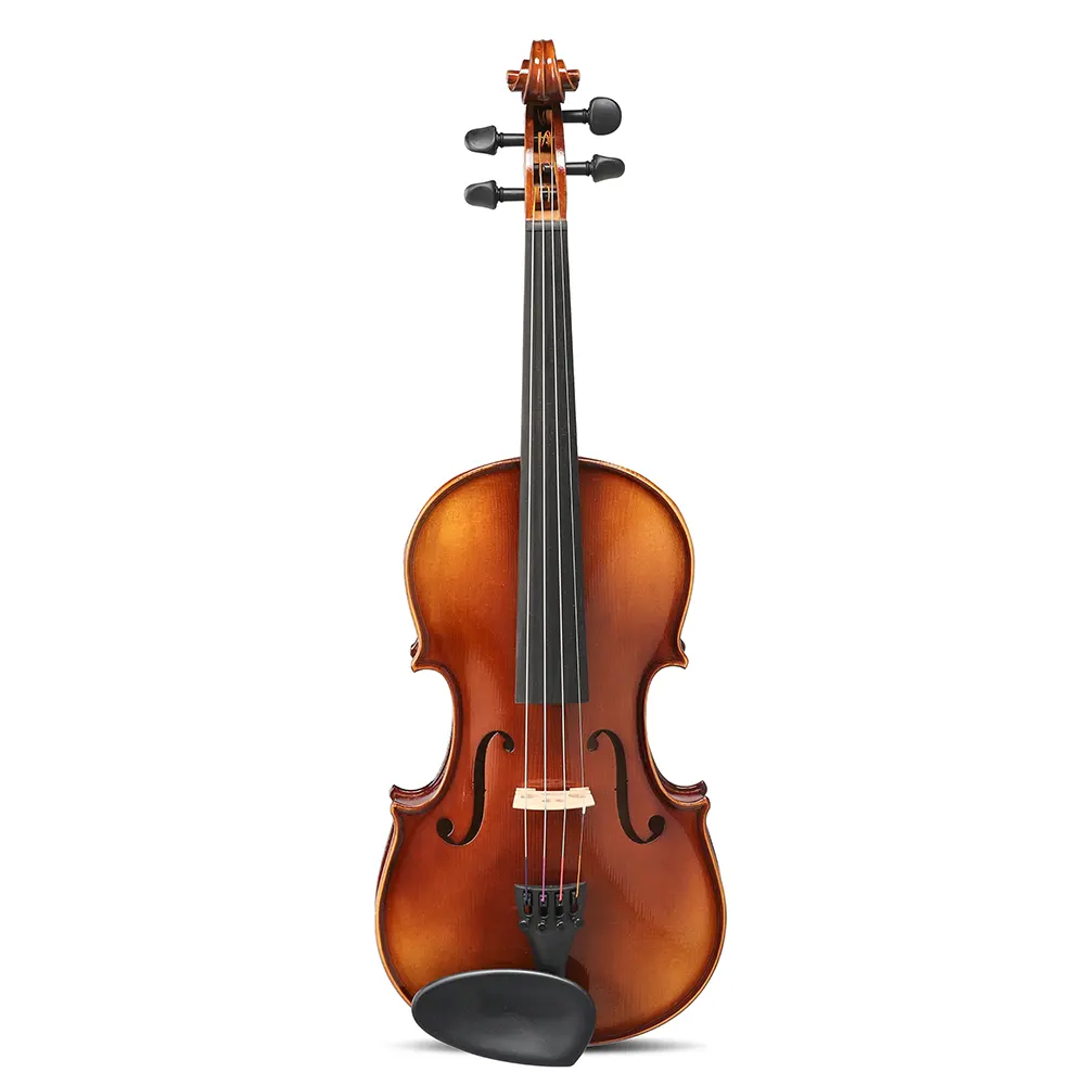 GEWA 100th Anniversary violina s kovčkom 3/4