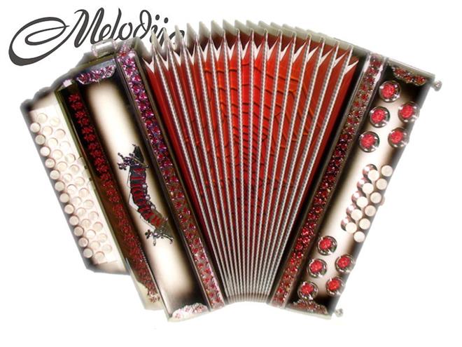 Melodija diatonična hamonika 38cm STANDARD