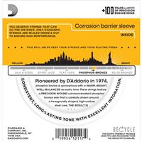 D'ADDARIO EJ19 Bluegrass phosphor-bronze