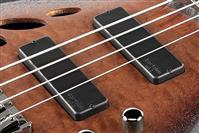 IBANEZ SR30TH4-NNF semi-hollow bas kitara