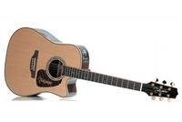 TAKAMINE P7DC ELEKTRO AKUSTIČNA KITARA