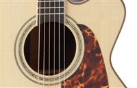 TAKAMINE P7DC ELEKTRO AKUSTIČNA KITARA