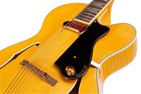 GUILD A-150 SAVOY BLV hollow body kitara