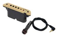 LR Baggs M1 soundhole magnet