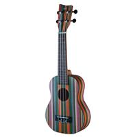 VGS Patea concert ukulele 