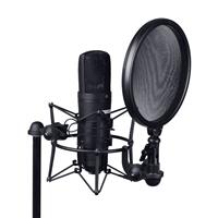 LD Systems DSM400 vpetje + pop filter