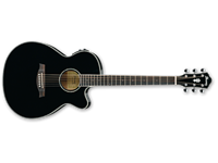 IBANEZ AEG10II-BK Elektro-akustična kitara