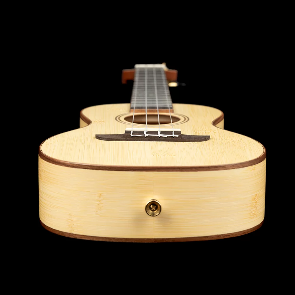 Ortega RUBO concert ukulele