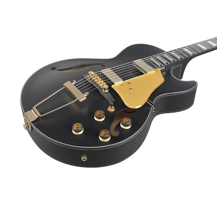 IBANEZ AG85-BKF električna kitara