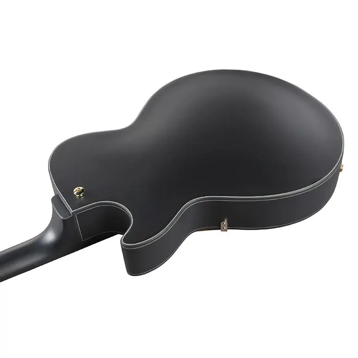 IBANEZ AG85-BKF električna kitara