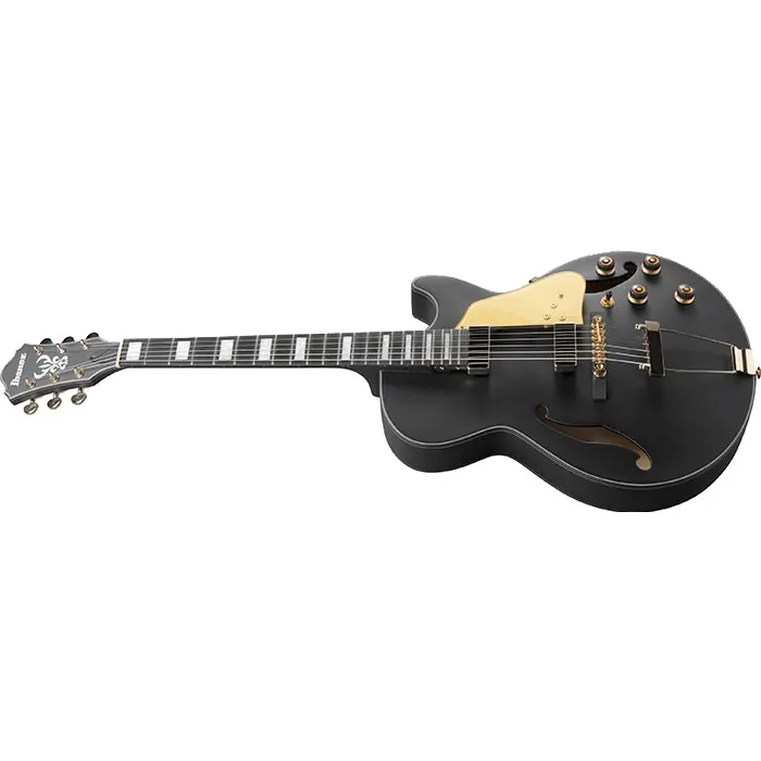 IBANEZ AG85-BKF električna kitara