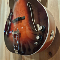 REMS kitara - unikat, ročno delo