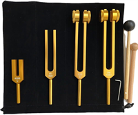 Terapevtske glasbene vilice - komplet (4x)