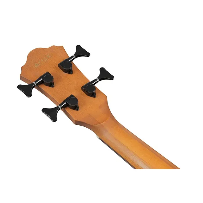 Ibanez AEGB25E-TKH elektro-akustična bas kitara