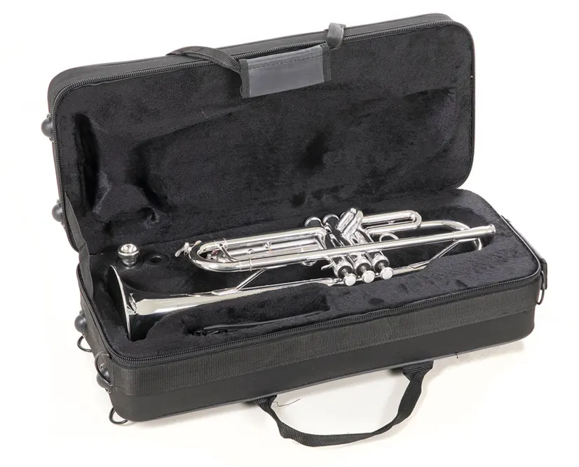 Roy Benson TR-202S Bb trobenta srebrna