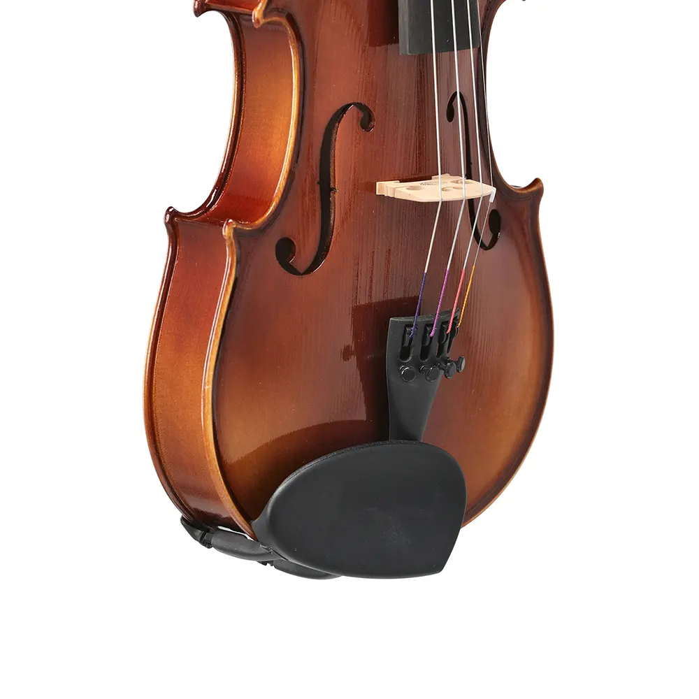 GEWA 100th Anniversary violina s kovčkom 3/4