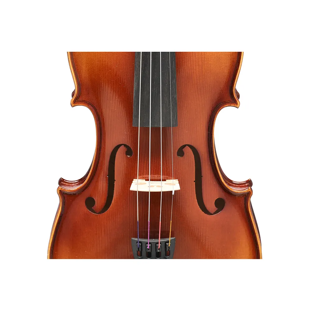 GEWA 100th Anniversary violina s kovčkom 3/4